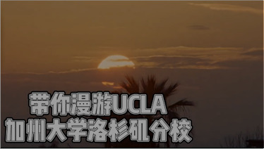 加州大学洛杉矶分校